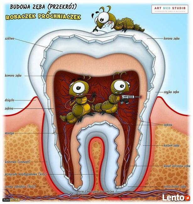 ilustracje medyczne, naukowe, wizualizacje na zmówienie