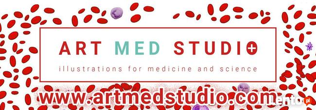 ilustracje medyczne, naukowe, wizualizacje na zmówienie