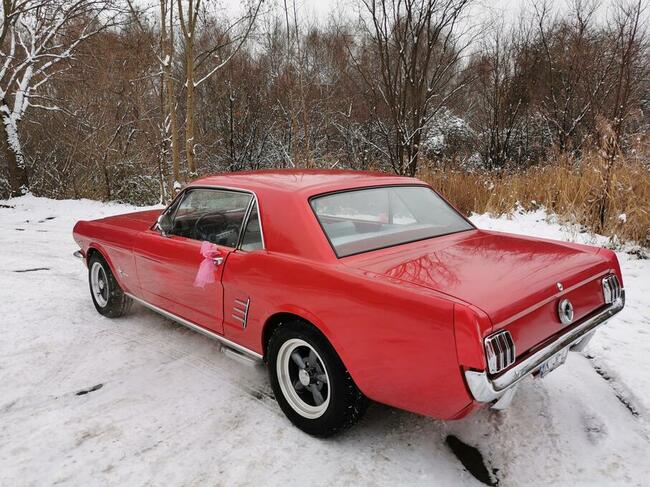 Ford Mustang 1966 do ślubu