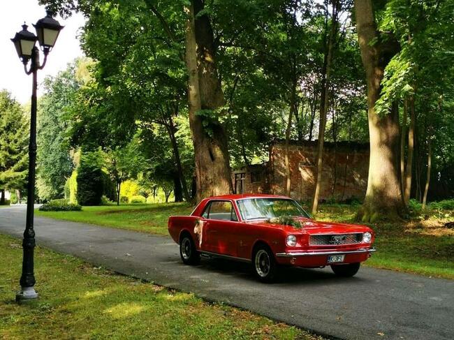 Ford Mustang 1966 do ślubu