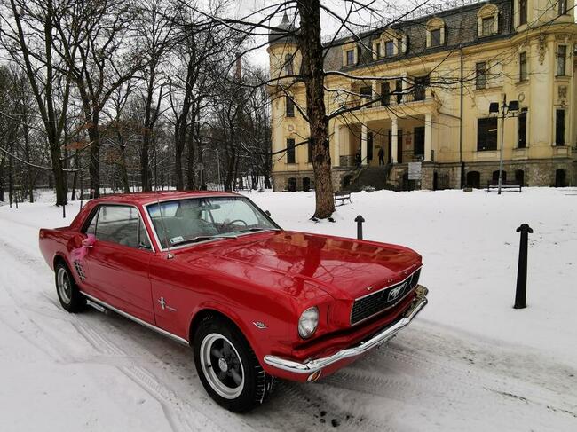 Ford Mustang 1966 do ślubu