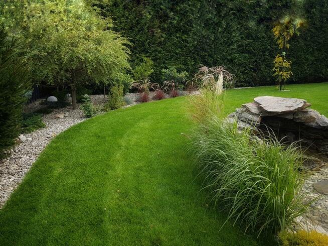 Usługi ogrodnicze l Kompleksowe zagospodarowanie terenu Kosz