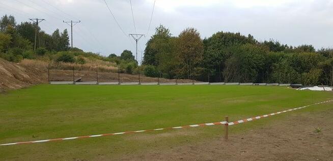 Usługi ogrodnicze l Kompleksowe zagospodarowanie terenu Kosz