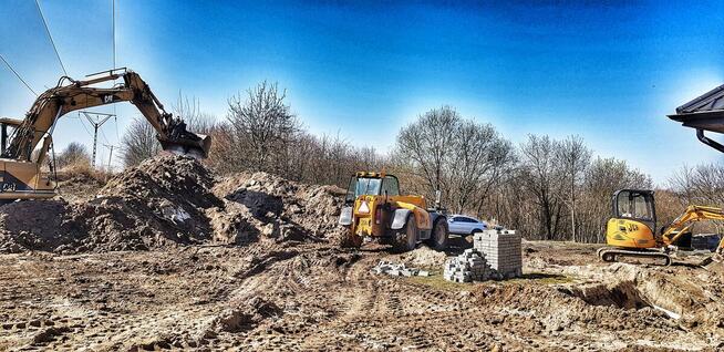 Usługi ogrodnicze l Kompleksowe zagospodarowanie terenu Kosz