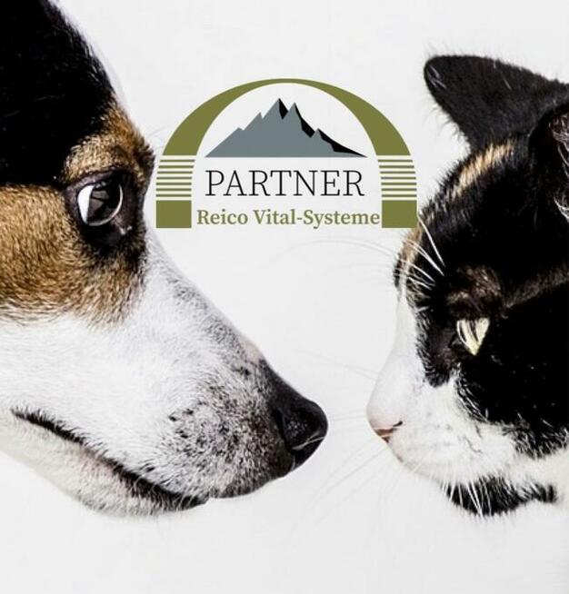 Wybredny pies i kot? Nie z Reico! Naturalna Karma!