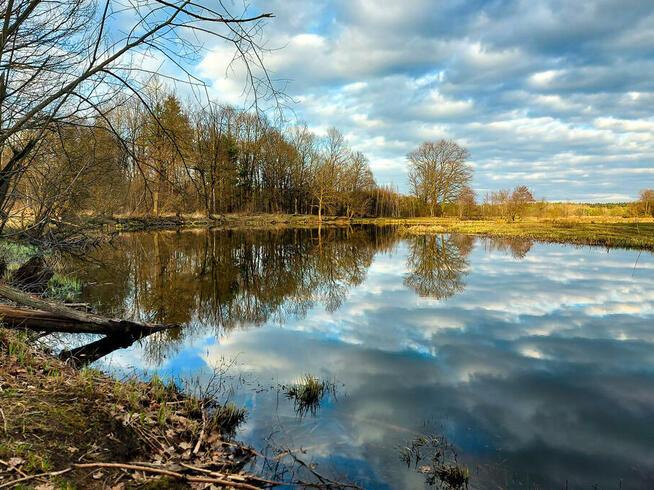 Camp-KAJAKOWO Pole Namiotowe Camping zaprasza w 2024 roku