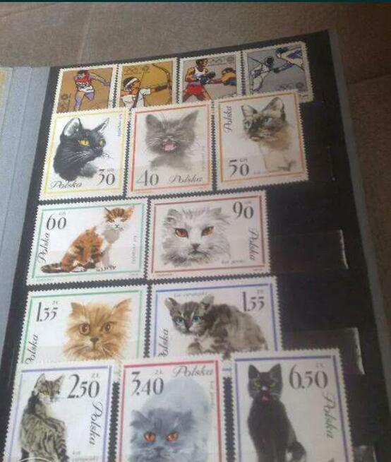 Klasery ze znaczkami