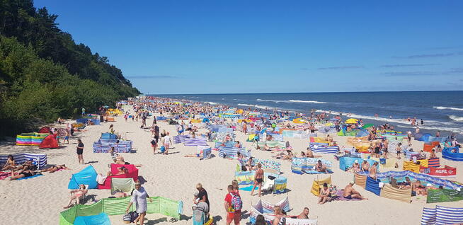 Praca nad morzem, pomoc kuchenna