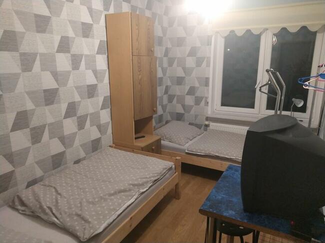 kwatery pracownicze, noclegi Lisi Ogon koło Bydgoszcz