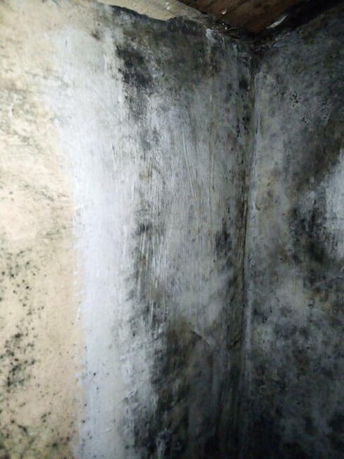 Błagam pilnie o pomoc na kolanach