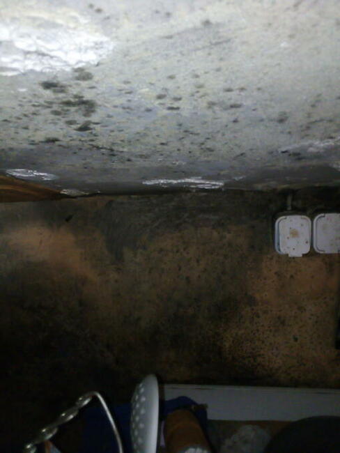 Błagam pilnie o pomoc na kolanach