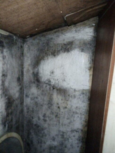 Błagam pilnie o pomoc na kolanach