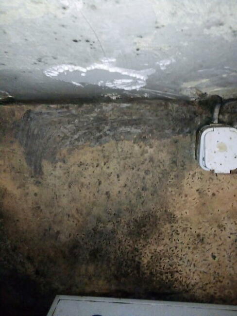 Błagam pilnie o pomoc na kolanach