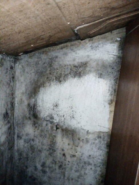 Błagam pilnie o pomoc na kolanach