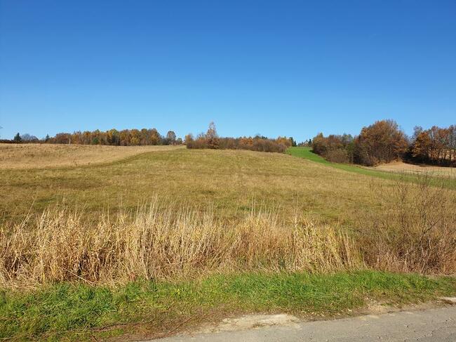 Duża działka 93 ary