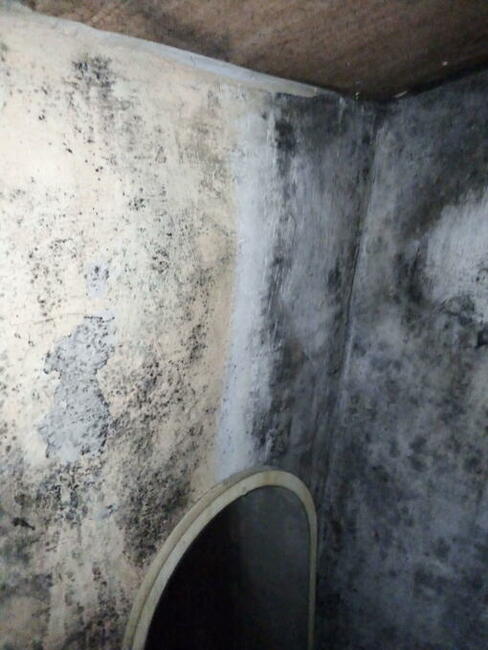 Błagam pilnie o pomoc na kolanach