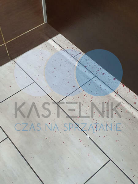 Sprzątanie po zmarłych, zgonach Koluszki - Kastelnik