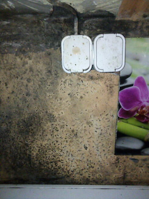 Błagam pilnie o pomoc na kolanach