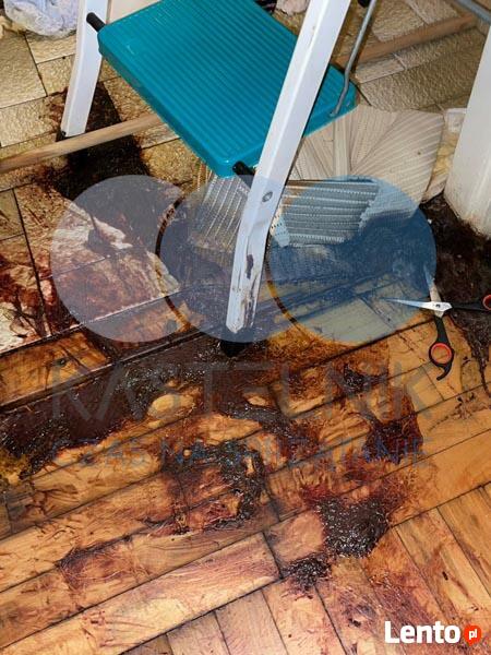 Ozonowanie biura, firmy Środa Wielkopolska- Kastelnik 24/7