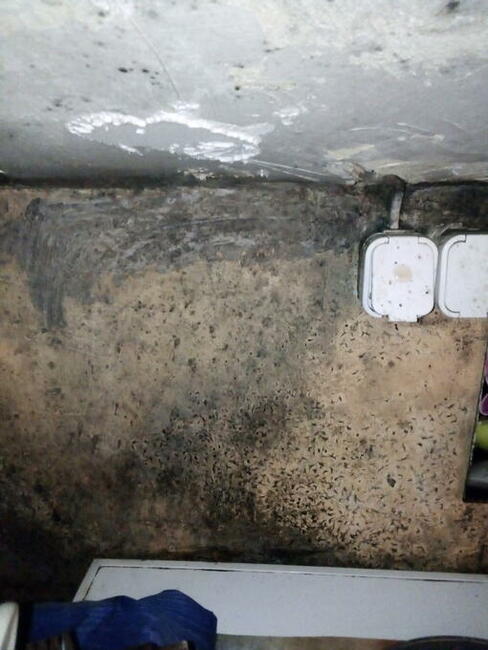 Błagam pilnie o pomoc na kolanach