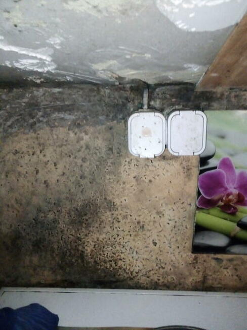 Błagam pilnie o pomoc na kolanach