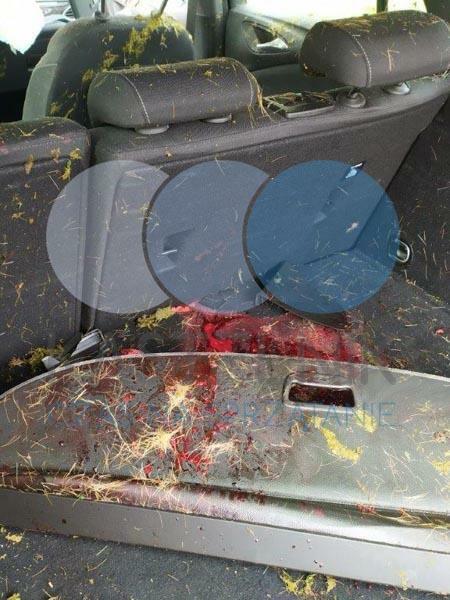 Sprzątanie po zmarłych, zgonach Koluszki - Kastelnik