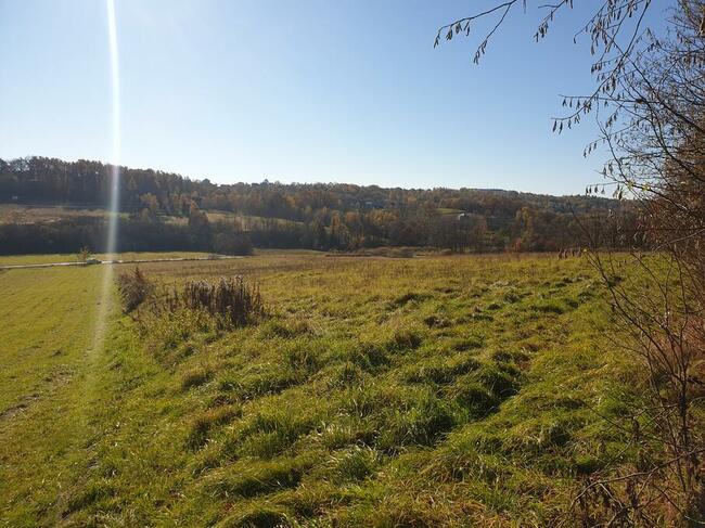 Duża działka 93 ary