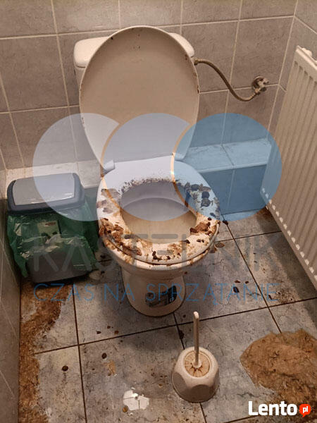 Ozonowanie pomieszczeń Oświęcim. Dezynfekcja i zamgławianie