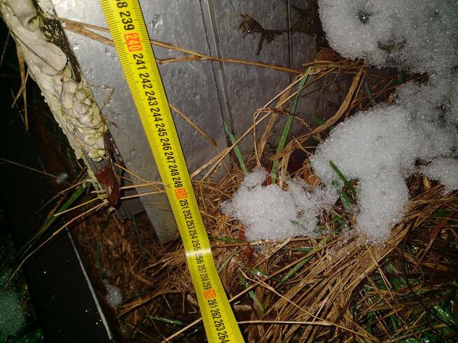 Drzwi Aluminiowe Sklepowe 87 x 255 cm 870 x 2550 mm