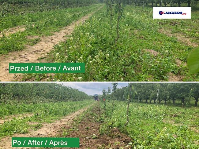 Pielnik sadowniczy rolhak - gwiazda pielaca opielacz KLAUDIA