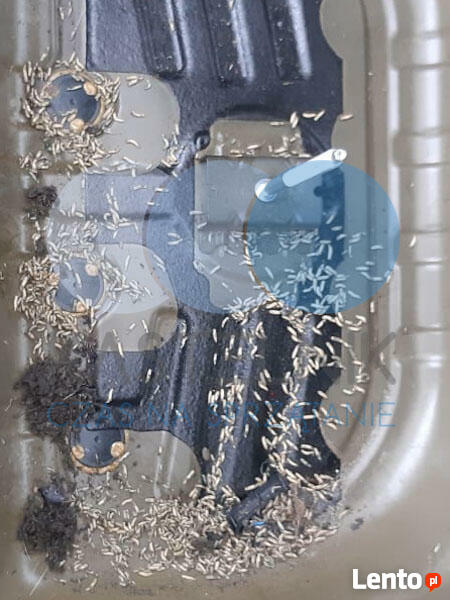 Kastelnik |Czyszczenie po zgonie, sprzątanie po zmarłym