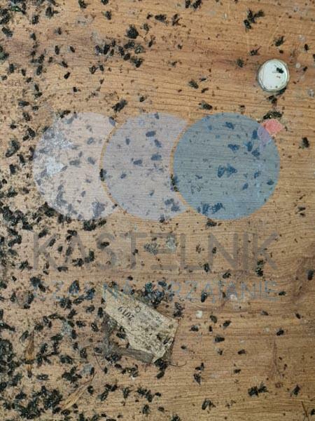 Czyszczenie, sprzątanie po zmarłym Oświęcim Tel 735-960-510