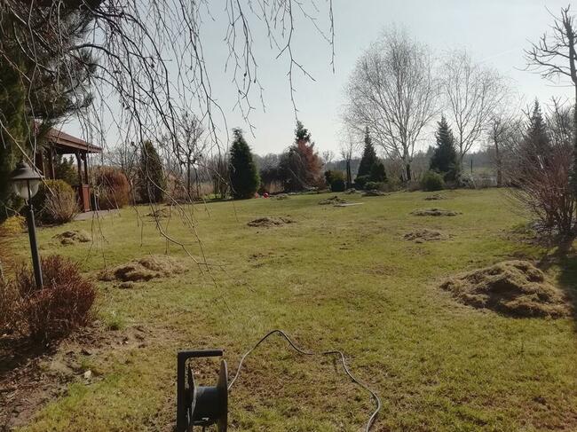 Zakładanie, pielęgnacja Ogrodów, Trawniki, Ogrodzenia