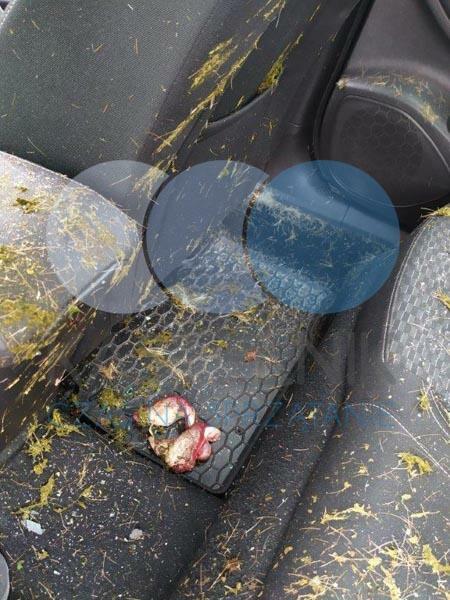 Sprzątanie po zmarłej osobie, zgonie Opole Tel 735-960-510