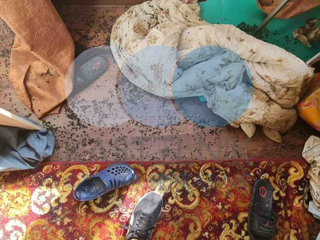 Kastelnik |Czyszczenie po zgonie, sprzątanie po zmarłym