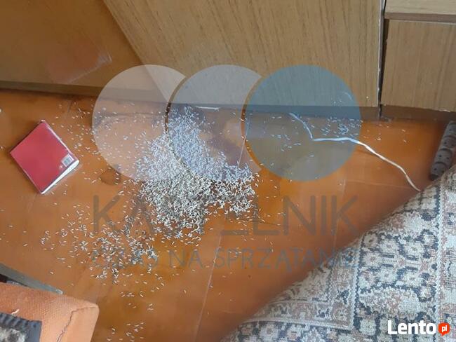 Czyszczenie, sprzątanie po zmarłym Przemyśl Tel 735-960-510