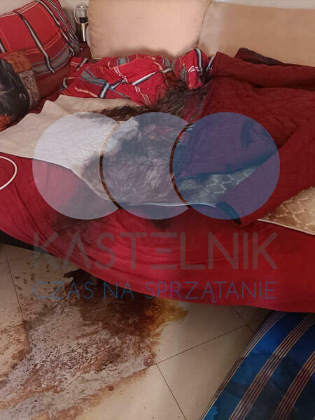 Kastelnik |Ozonowanie pomieszczeń Jastrzębie Zdrój Odkażanie