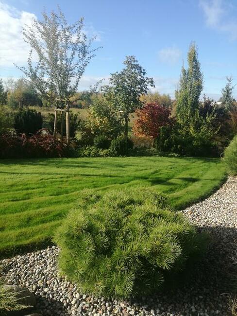 Ogrody Olsztynek usługi ogrodnicze