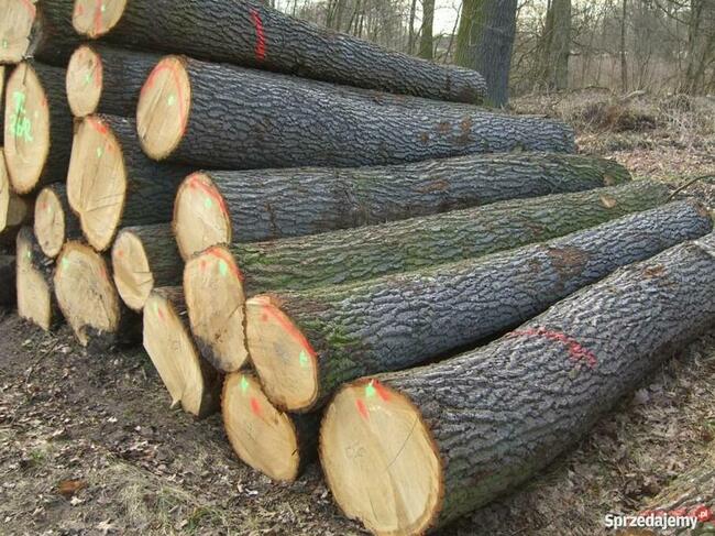 Drewno kominkowe Opałowe Najtaniej