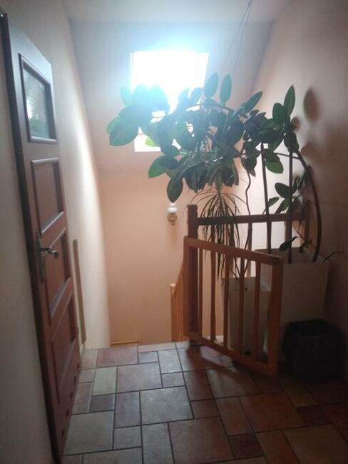 agroturystyka rogożno , sokołowo budzyńskie