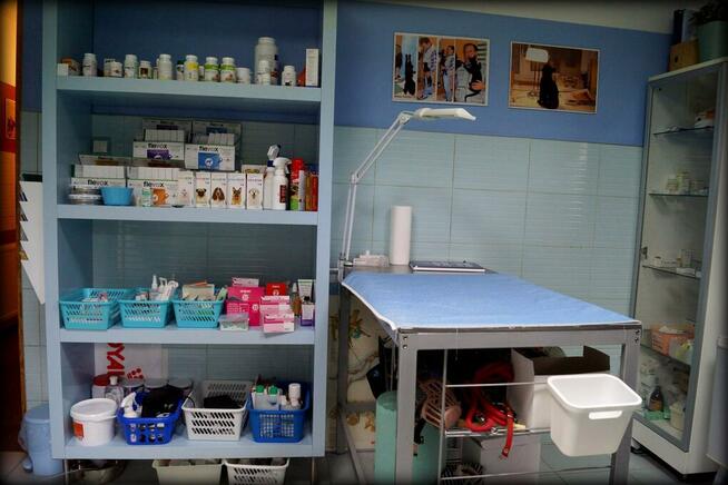 Gabinet Weterynaryjny zatrudni lekarza weterynarii-aktualne