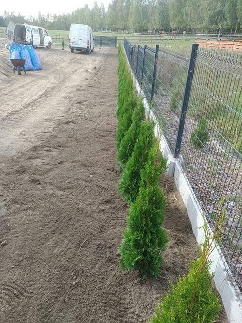 Ogrody Olsztynek usługi ogrodnicze