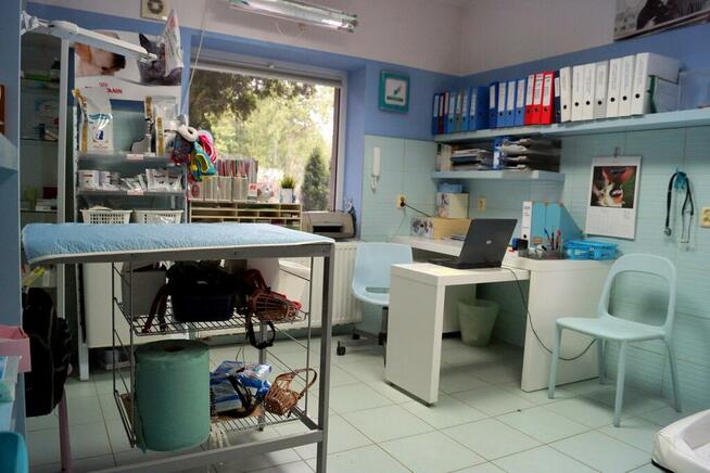 Gabinet Weterynaryjny zatrudni lekarza weterynarii-aktualne