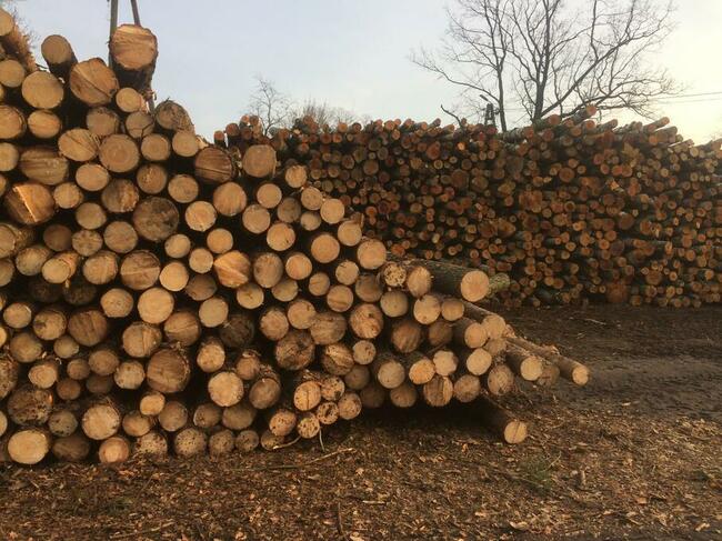 Drewno kominkowe Opałowe Najtaniej