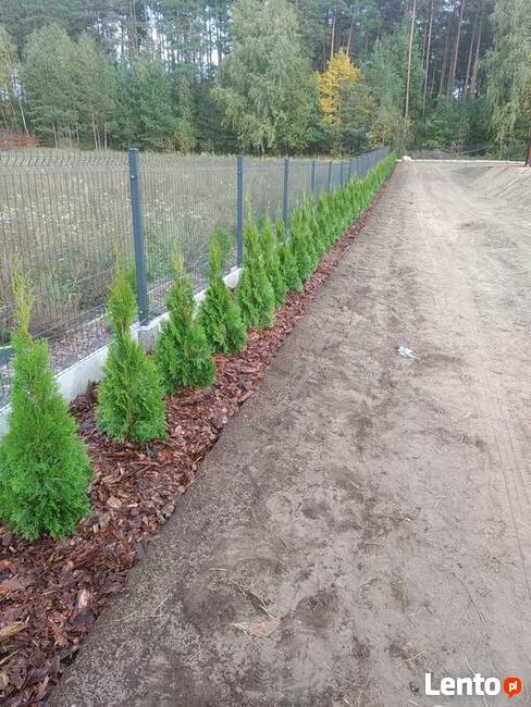 Ogrody Olsztynek usługi ogrodnicze