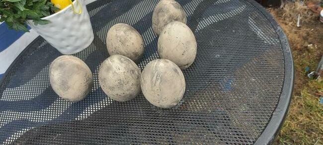 Wielkanoc figurki zajaczki kurki baranki PRODUCENT