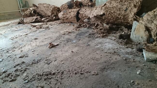 Zrywanie Usuwanie Subitu Lepiku Smoły Lepiszcza Częstochowa