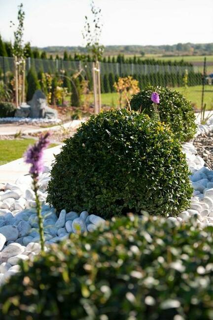 Ogrodomania Wrocław - Projektowanie i zakładanie ogrodów