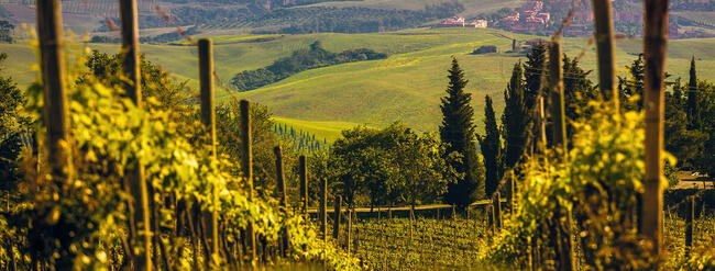 Wymarzona Toskania - Geotour - Wycieczka do Włoch!!!!