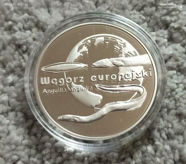 20 zł 2003 Węgorz moneta kolekcjonerska